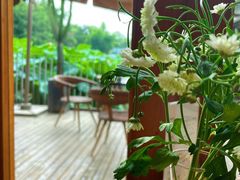 -莫催咖啡