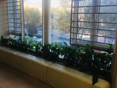 -初之光国际婴幼儿托育中心