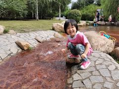 -群力丁香公园