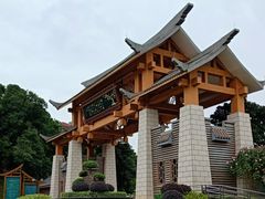 -南宁良凤江国家森林公园