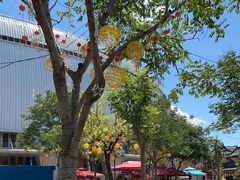 -华夏文旅海洋公园