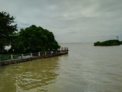-大湾区中央湿地公园