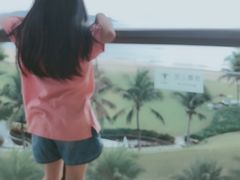 -元素中餐厅.海南菜.粤菜.椰子鸡.海鲜.包房.石梅湾威斯汀度假酒店