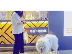 -TheRink大零溜冰场(IFS国金中心店)