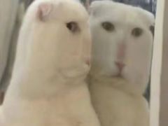 -如家旗下-西安高新区西部大道阳光城华驿酒店