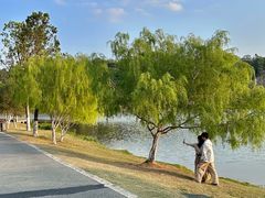 -东莞植物园