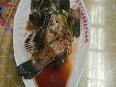 -四姑娘川味海鲜(八爪鱼店)