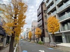 -是山居