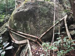-七仙岭温泉国家森林公园
