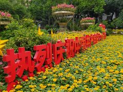 -晓港公园