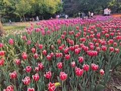 -长春公园(普阳街道)