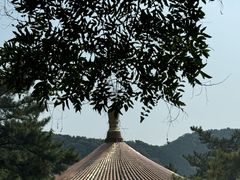 -潭柘寺景区