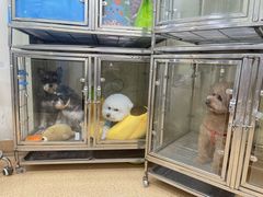 -芭比堂宠物医院·全科爱猫医院·仁德分院