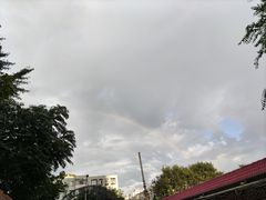 -魏家凉皮(协和店)