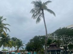 -Horizons Sky Bar & Cigar Lounge(太平洋丝绸酒店店)