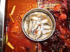 -蜀江龙火锅(清苑店)