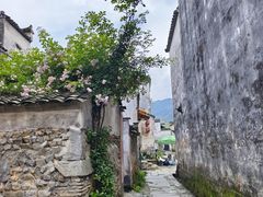 -黟县屏山村