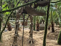-呀路古热带植物园