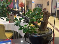 -胜记酒家·精致线(君汇店)
