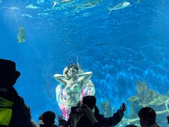 -海合安武汉极地海洋公园
