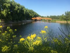 -白渔泡湿地公园