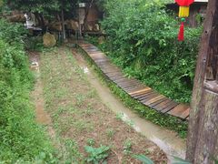 景点-天门沟九州驿站树上汤泉