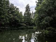 -杭州花家山庄