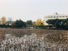 -西南交通大学(九里校区)