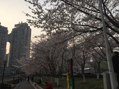 -西北湖绿化广场
