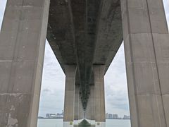 -中澳友谊花园
