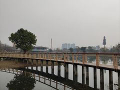 -桂溪生态公园