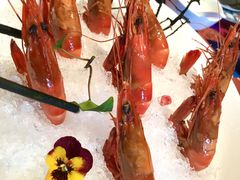 -上海滩餐厅(BFC外滩金融中心店)