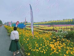 -上海长兴岛郊野公园