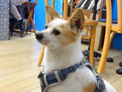 -OZ cafe(南昌路店)