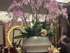 -夏宫中餐厅(香格里拉大酒店)