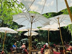 -Fern Forest Cafe