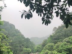 -九鲤湖风景区