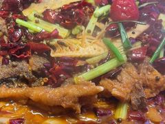 -老板恋上鱼(恒隆广场店)