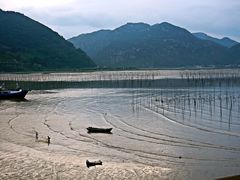-北岐滩涂