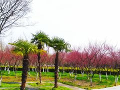 -白塘生态植物园