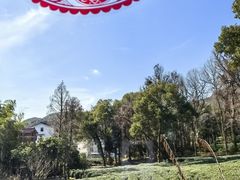 -野蔓果·山野菜(西湖景区·龙井茶田店)