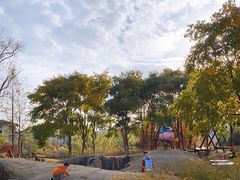 -田园东方蜜桃村的田野营地