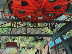 -王顺山国家森林公园