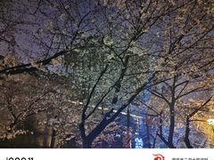 -鸡鸣赐茶(鸡鸣寺路店)