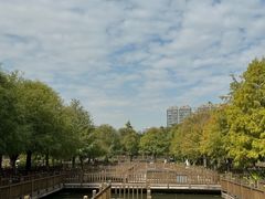 -五缘湾湿地公园