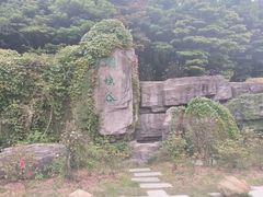 -梧桐山风景名胜区