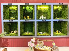 -芸山季·云南野生菌火锅(宝能环球汇店)