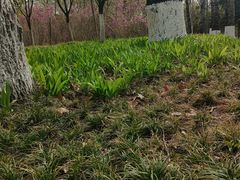 -西安化觉巷清真大寺