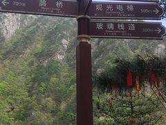 -罗田天堂寨风景区