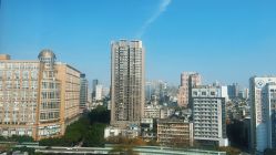 -章光101防脱养发荟